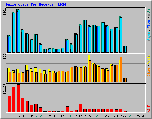 Daily usage for December 2024