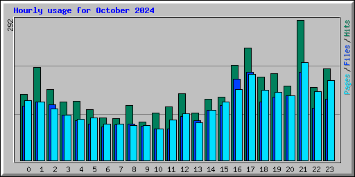 Hourly usage for October 2024