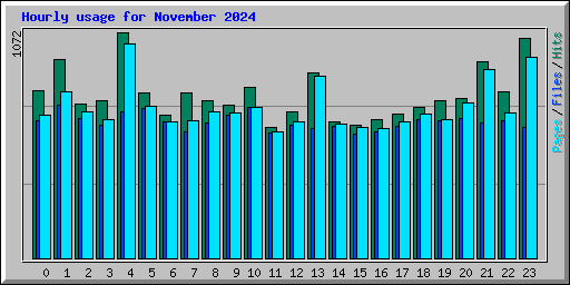 Hourly usage for November 2024