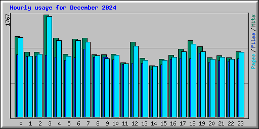 Hourly usage for December 2024