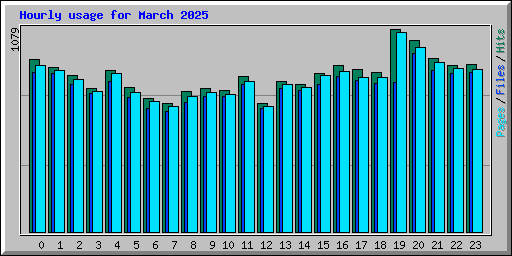 Hourly usage for March 2025