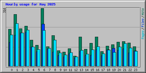 Hourly usage for May 2025