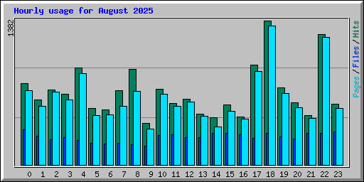 Hourly usage for August 2025
