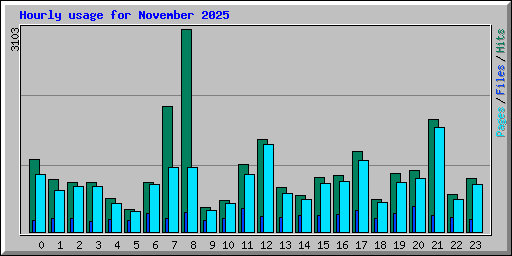 Hourly usage for November 2025