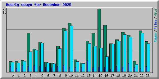 Hourly usage for December 2025