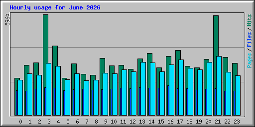 Hourly usage for June 2026