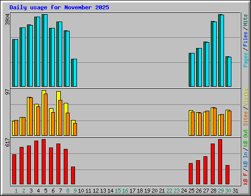Daily usage for November 2025