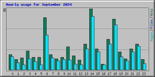 Hourly usage for September 2024