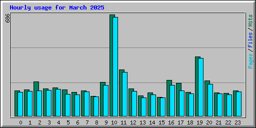 Hourly usage for March 2025
