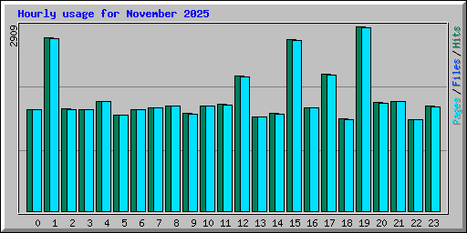 Hourly usage for November 2025