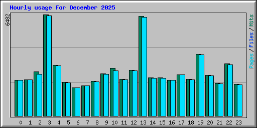Hourly usage for December 2025