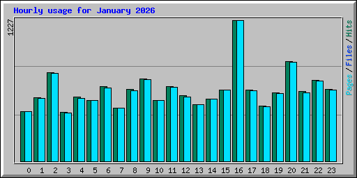 Hourly usage for January 2026