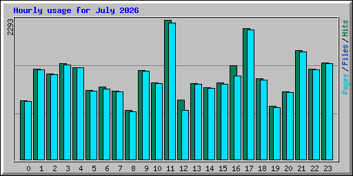 Hourly usage for July 2026