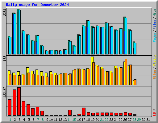 Daily usage for December 2024