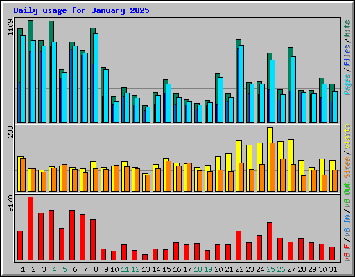 Daily usage for January 2025