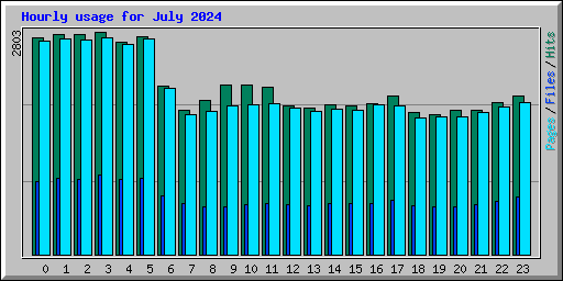 Hourly usage for July 2024