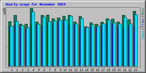 Hourly usage for November 2024