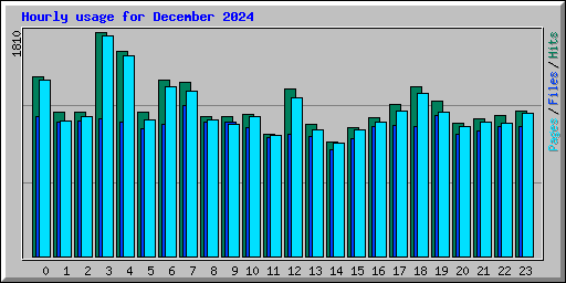 Hourly usage for December 2024