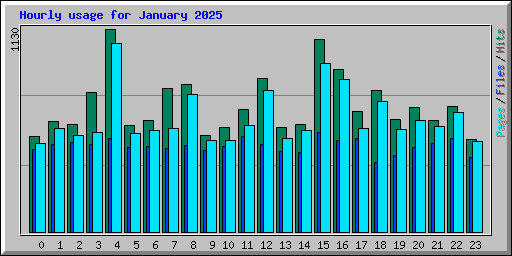 Hourly usage for January 2025