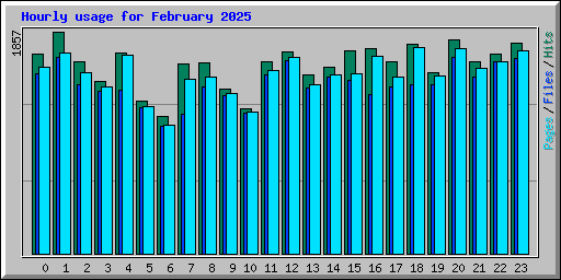 Hourly usage for February 2025