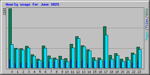 Hourly usage for June 2025
