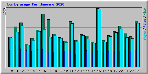 Hourly usage for January 2026