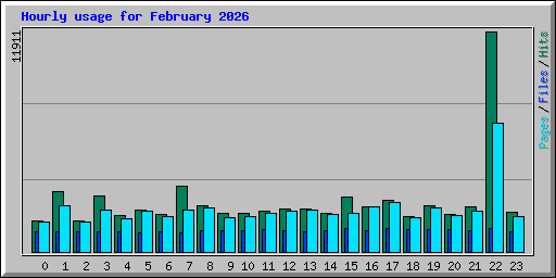 Hourly usage for February 2026