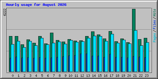 Hourly usage for August 2026