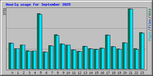 Hourly usage for September 2025