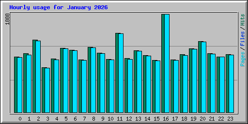 Hourly usage for January 2026