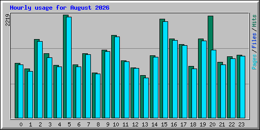 Hourly usage for August 2026